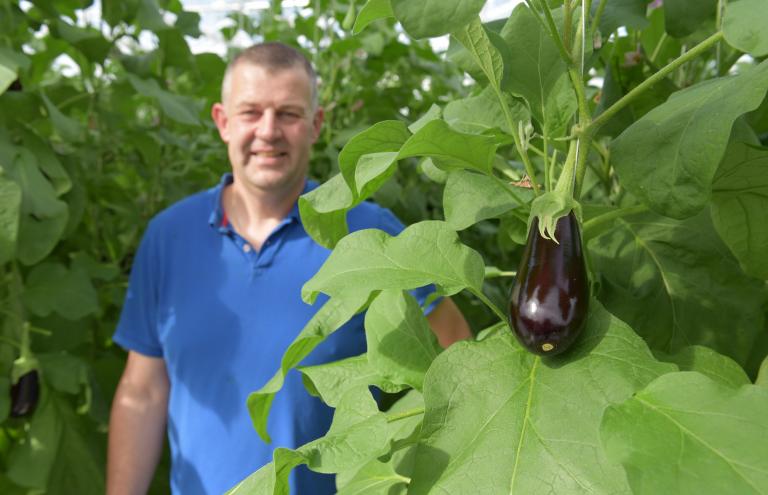 Jurgen Franco - aubergines